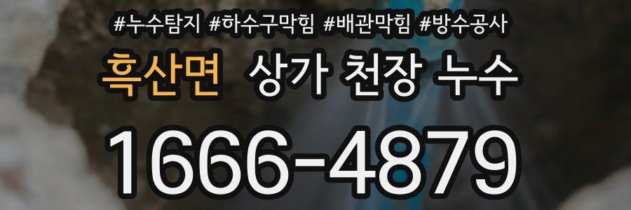 흑산면 상가 천장 누수