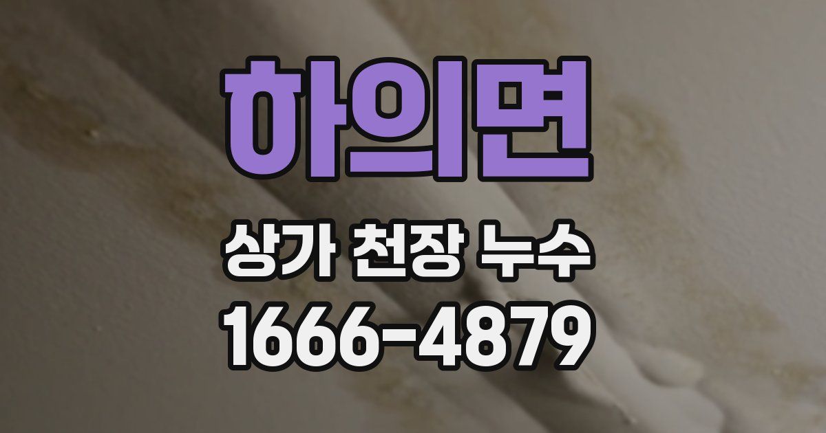 하의면 상가 천장 누수