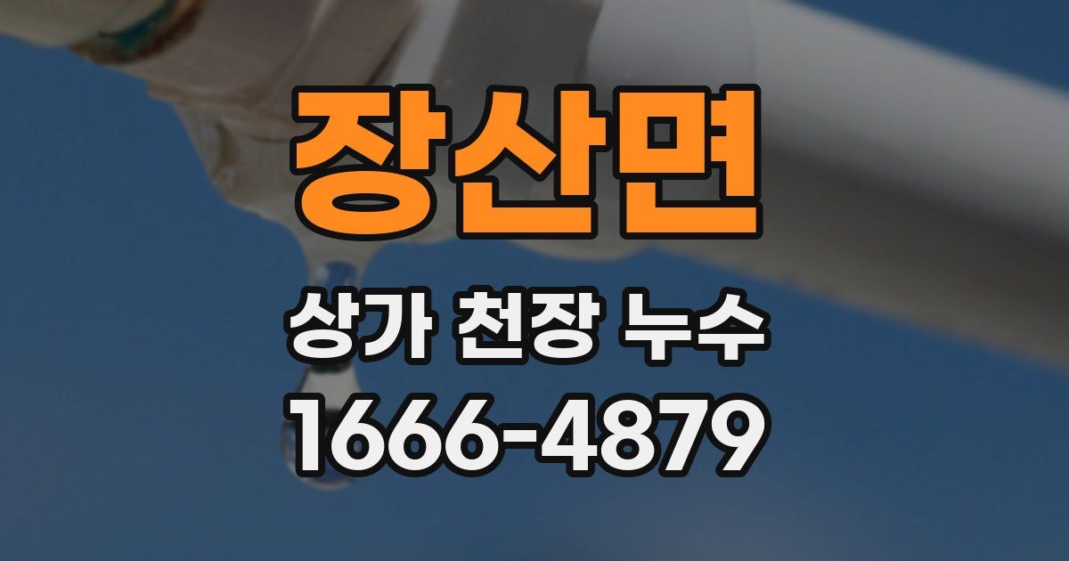 장산면 상가 천장 누수