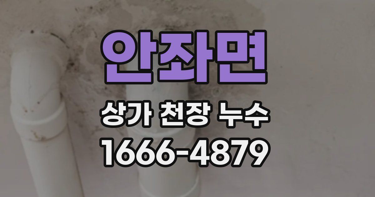 안좌면 상가 천장 누수