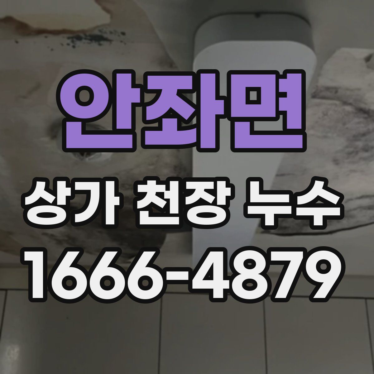 안좌면 상가 천장 누수