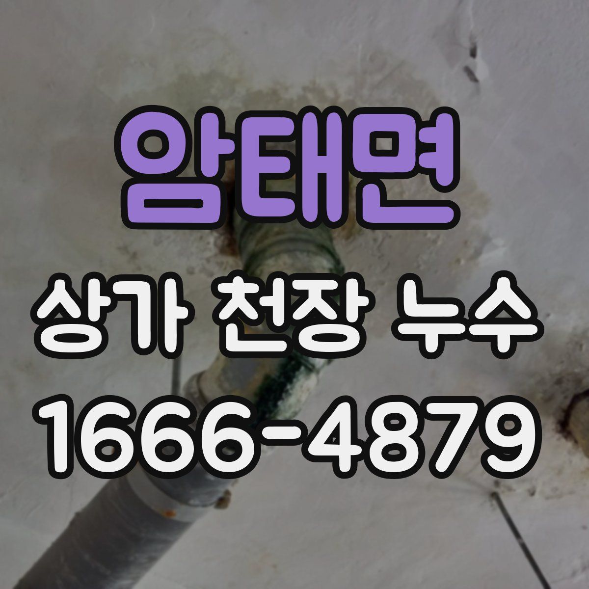 암태면 상가 천장 누수