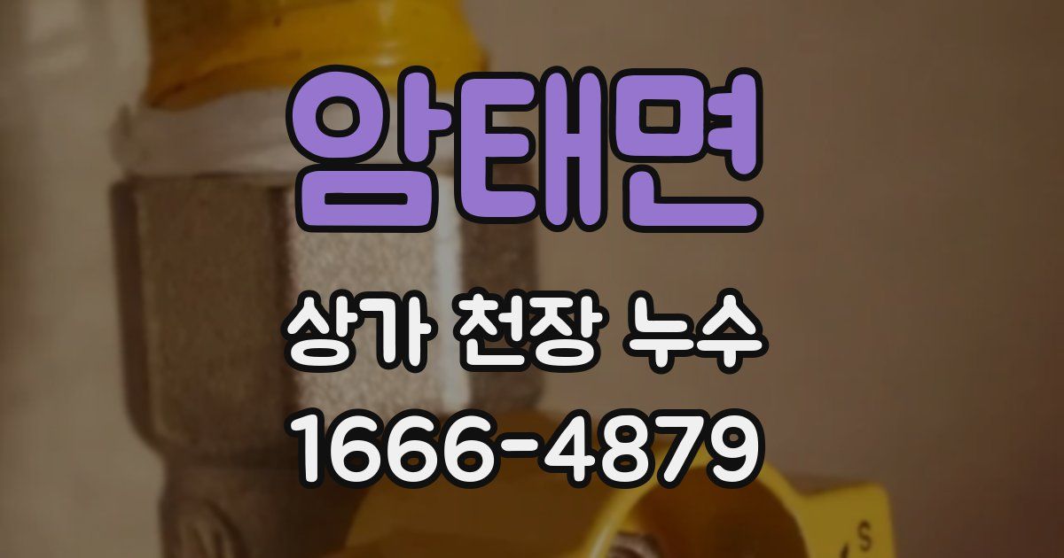 암태면 상가 천장 누수