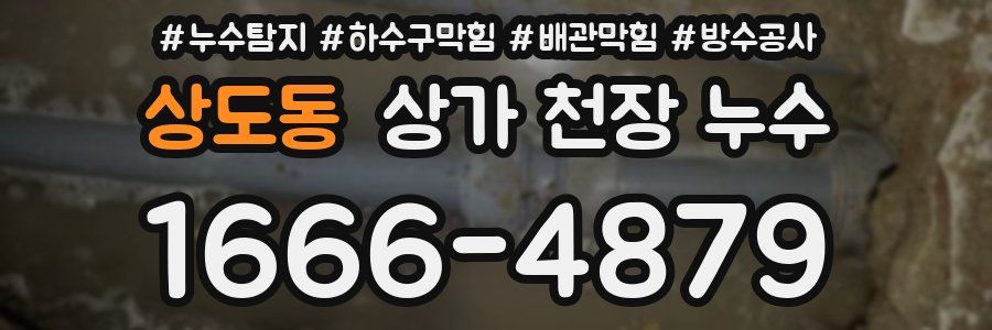 상도동 상가 천장 누수