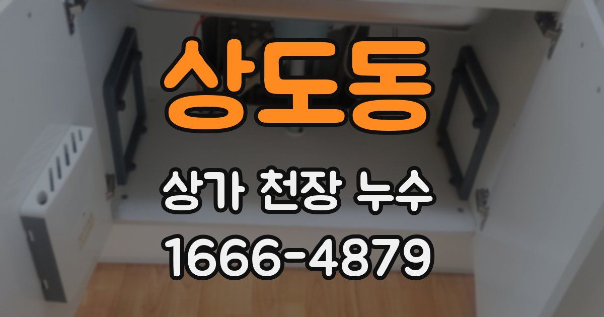 상도동 상가 천장 누수