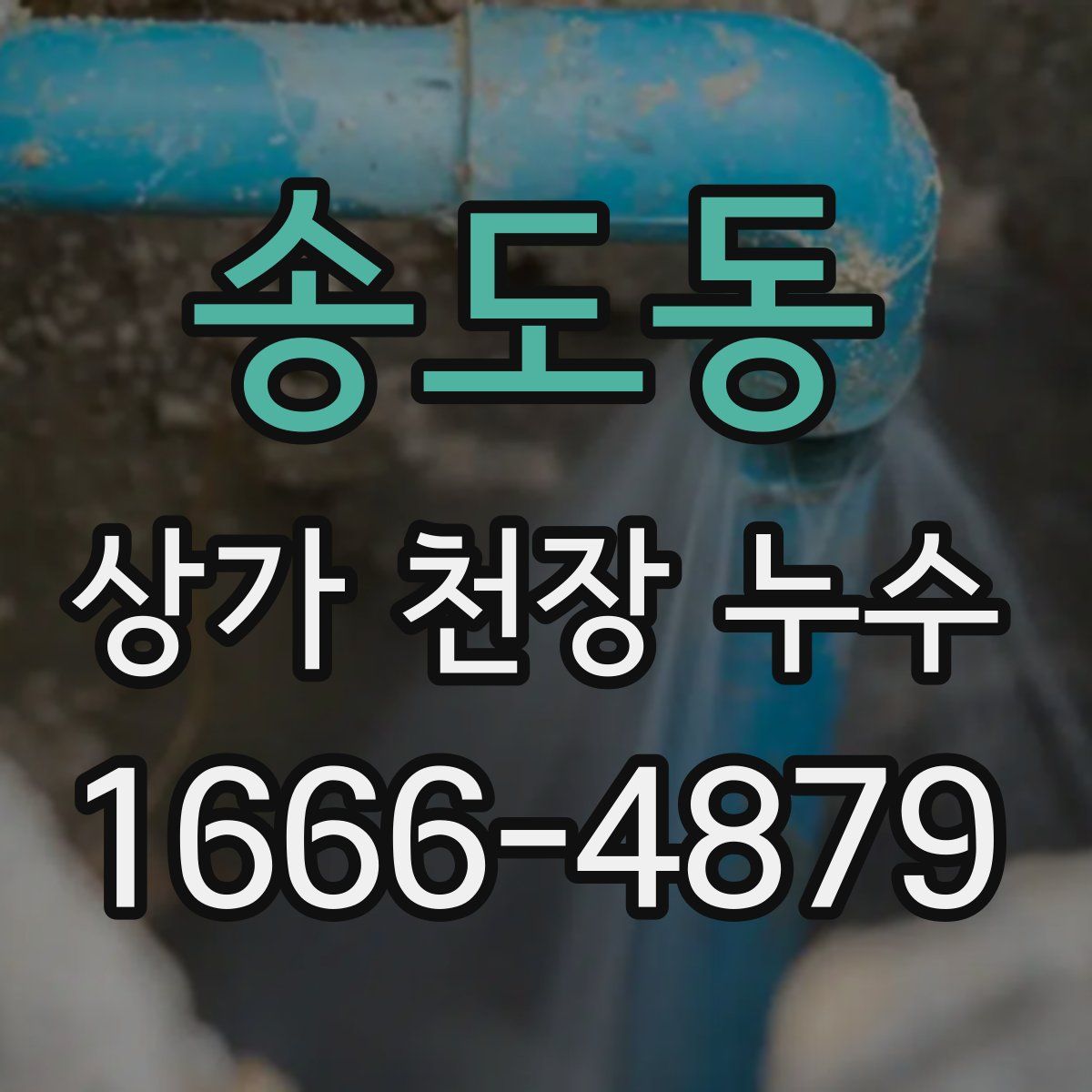 송도동 상가 천장 누수