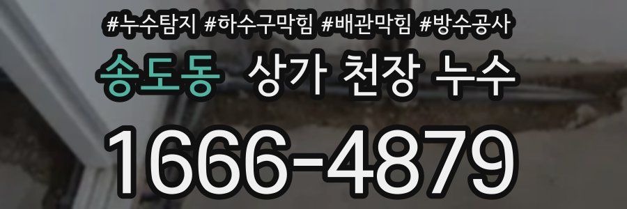 송도동 상가 천장 누수