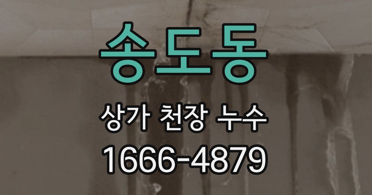 송도동 상가 천장 누수