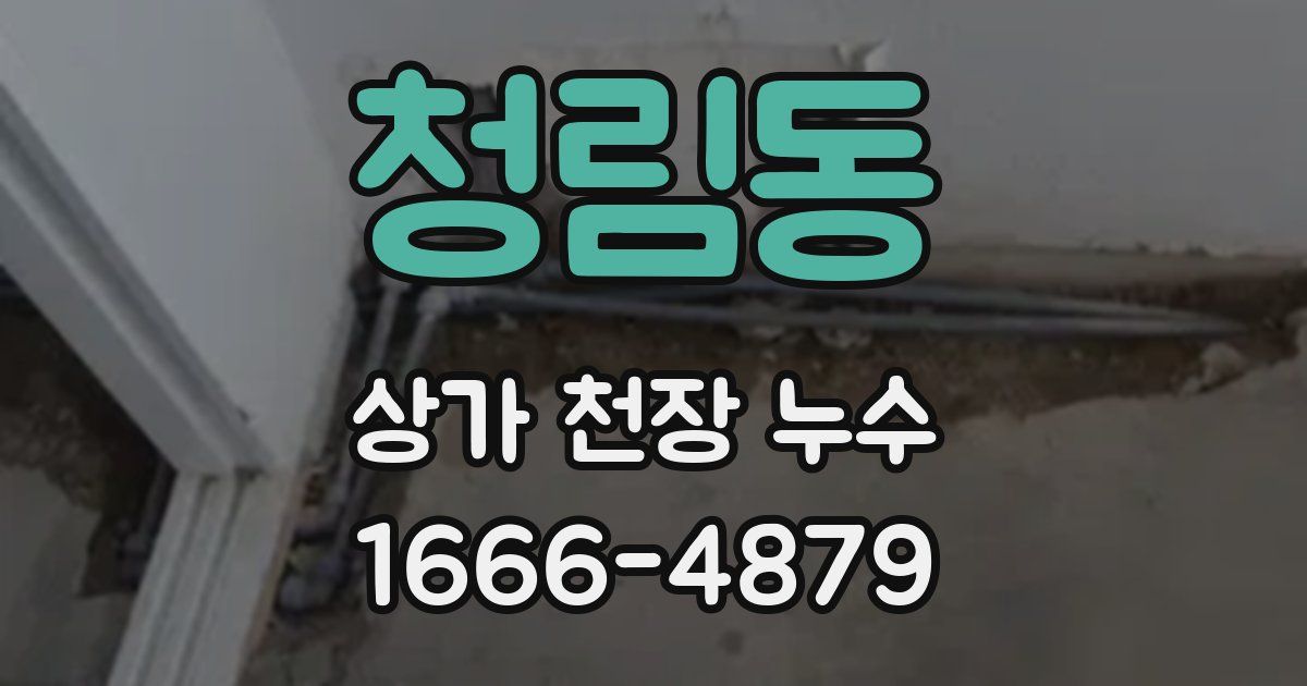 청림동 상가 천장 누수