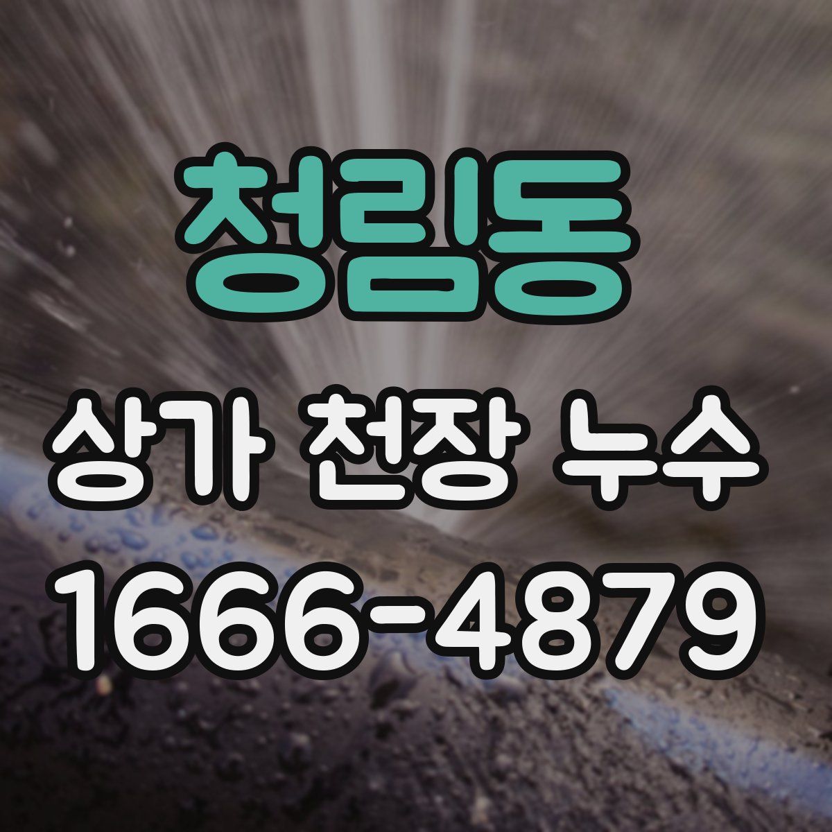 청림동 상가 천장 누수