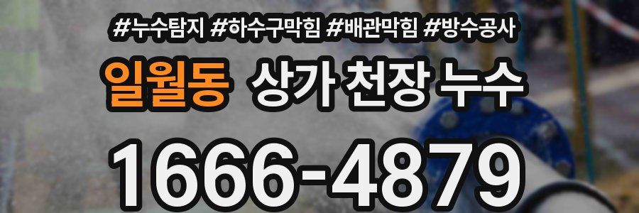 일월동 상가 천장 누수