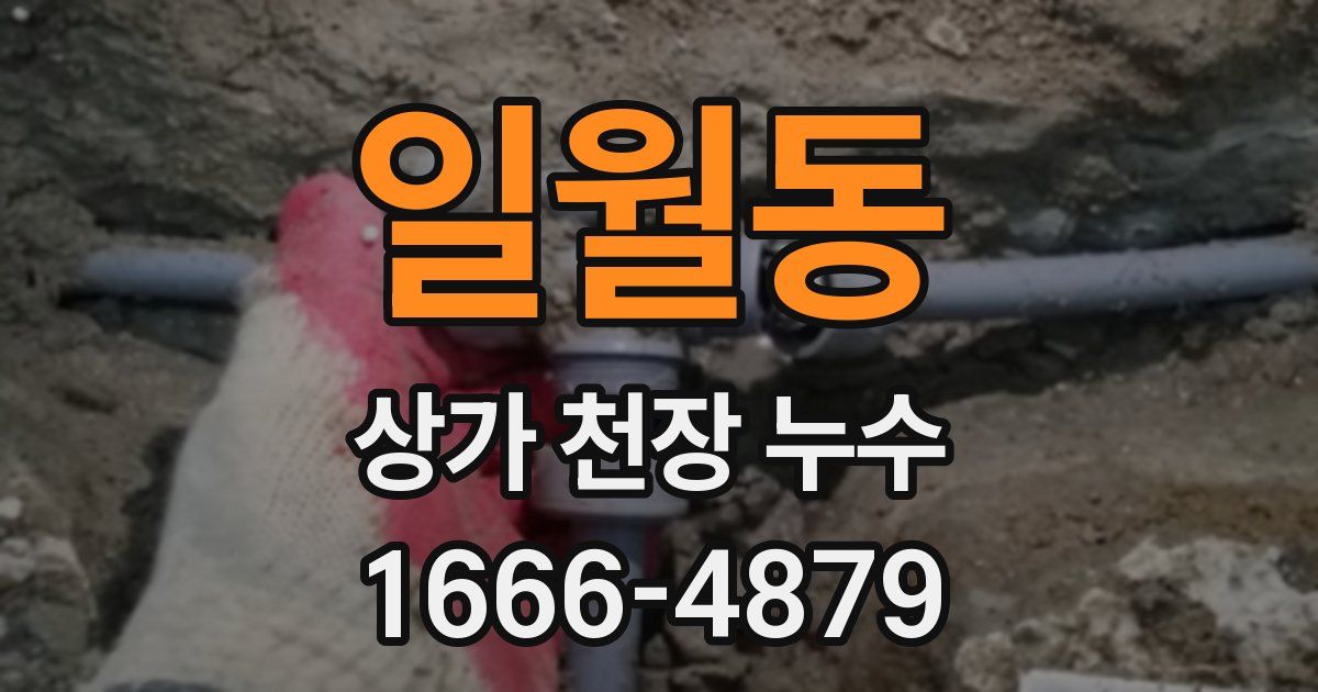 일월동 상가 천장 누수