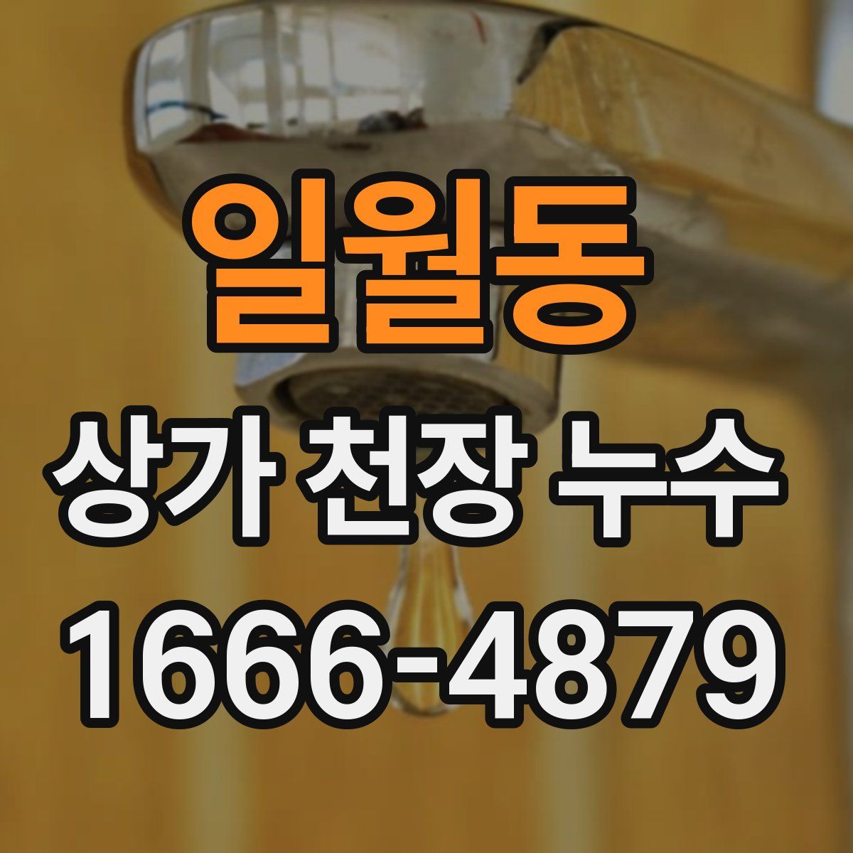 일월동 상가 천장 누수