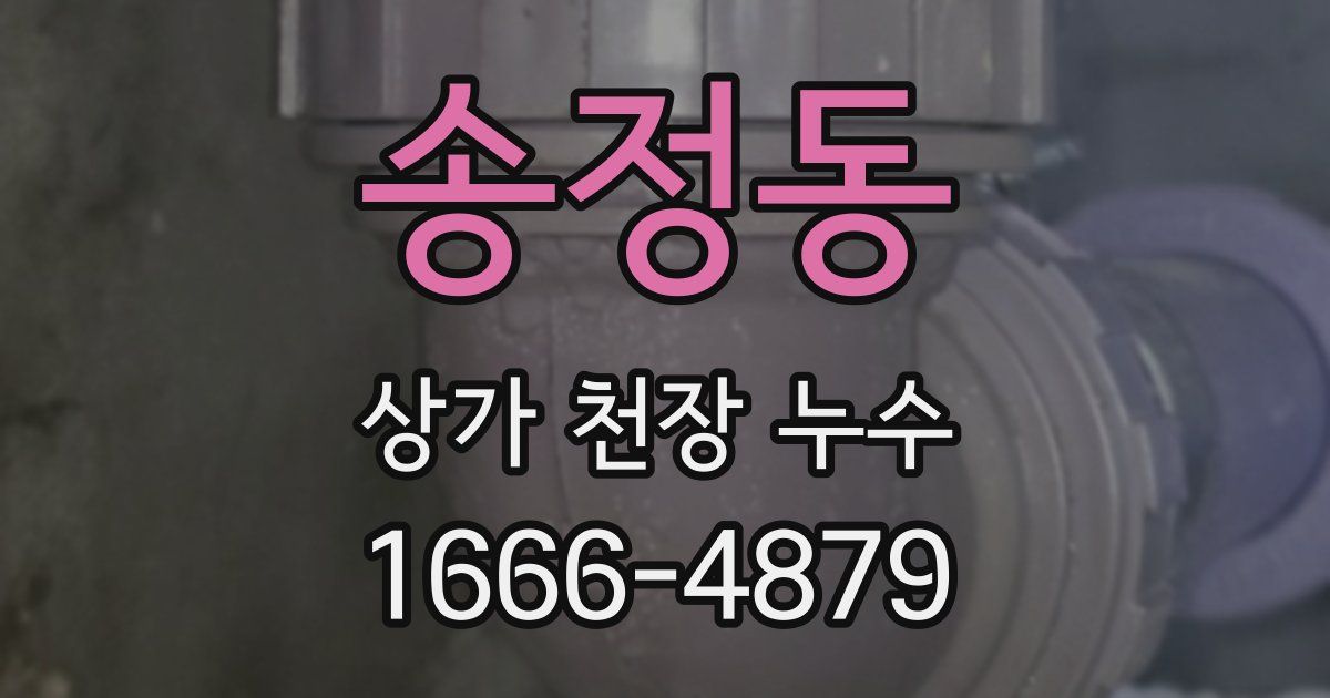 송정동 상가 천장 누수