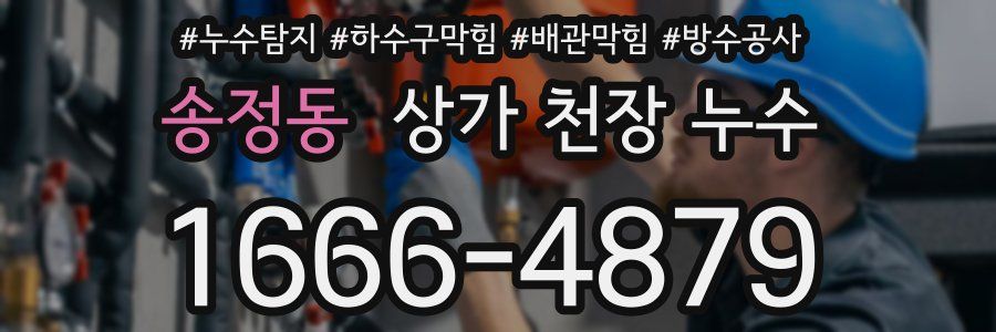 송정동 상가 천장 누수