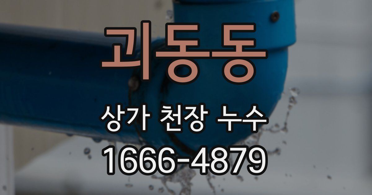 괴동동 상가 천장 누수