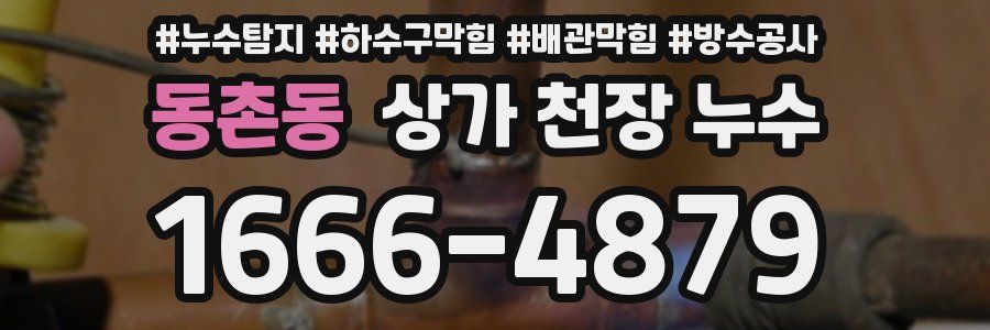 동촌동 상가 천장 누수