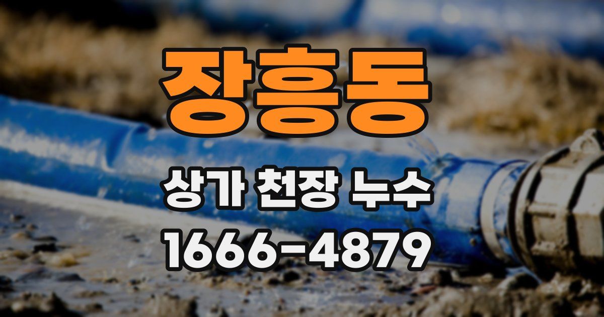 장흥동 상가 천장 누수