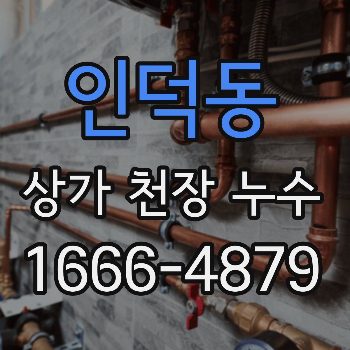 인덕동 상가 천장 누수