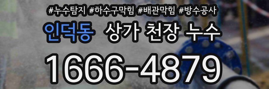 인덕동 상가 천장 누수