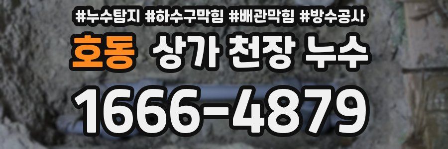 호동 상가 천장 누수