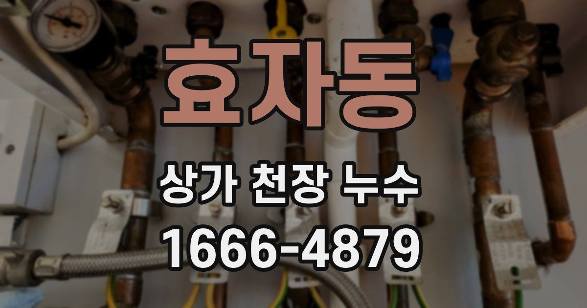 효자동 상가 천장 누수