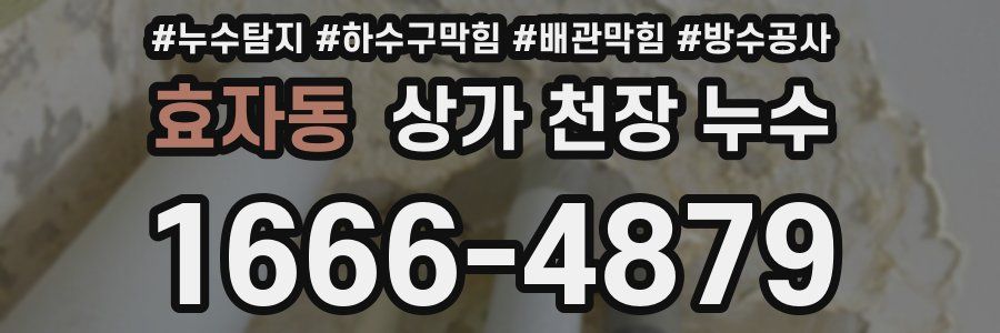 효자동 상가 천장 누수