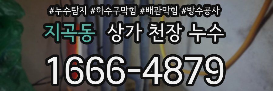 지곡동 상가 천장 누수