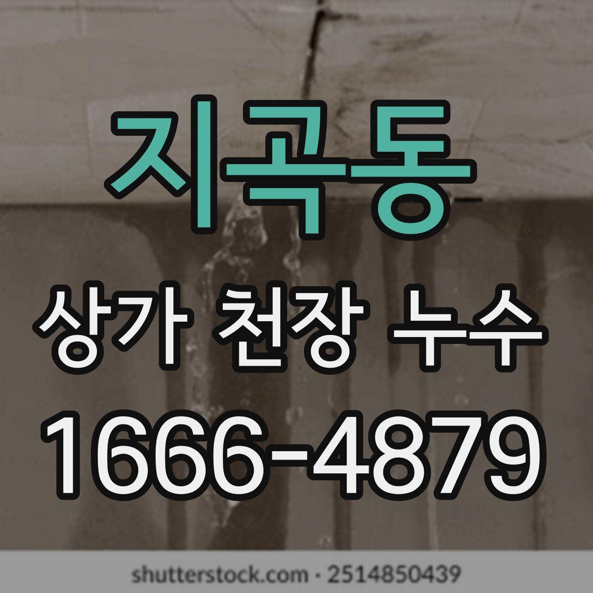 지곡동 상가 천장 누수