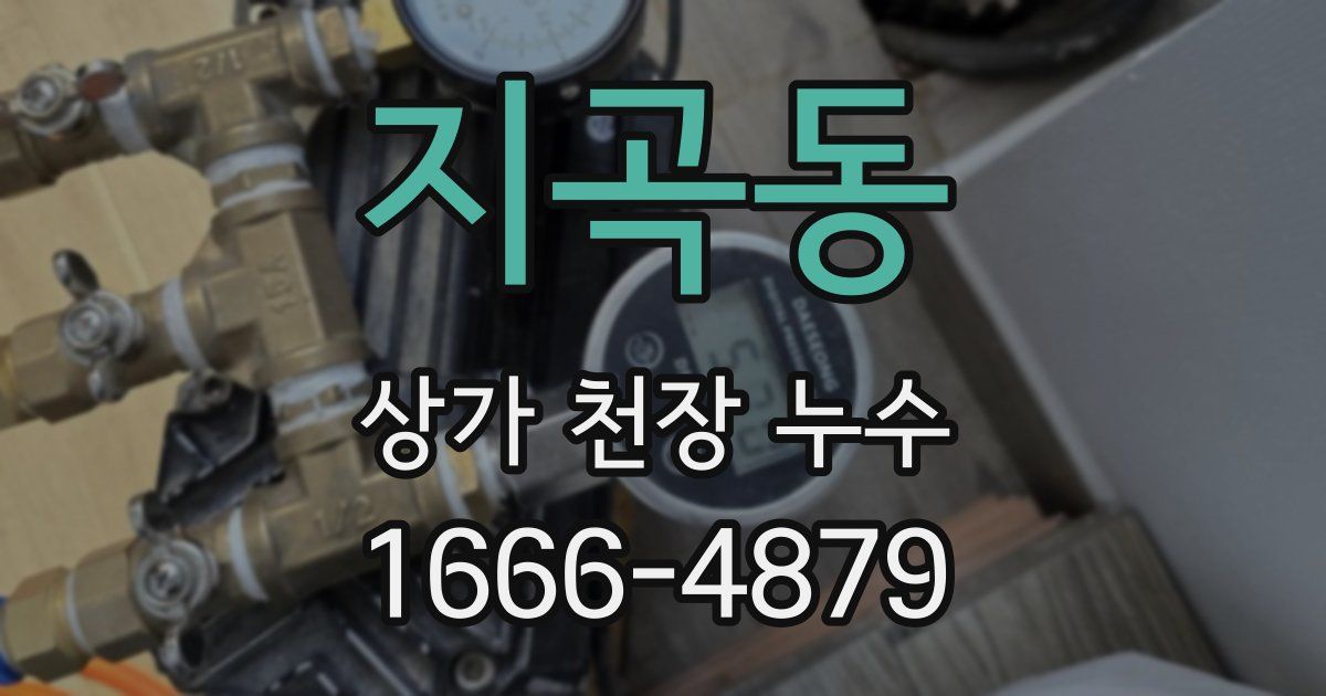 지곡동 상가 천장 누수