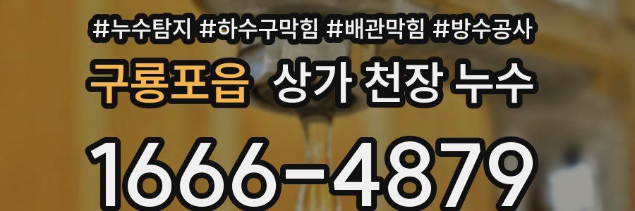 구룡포읍 상가 천장 누수