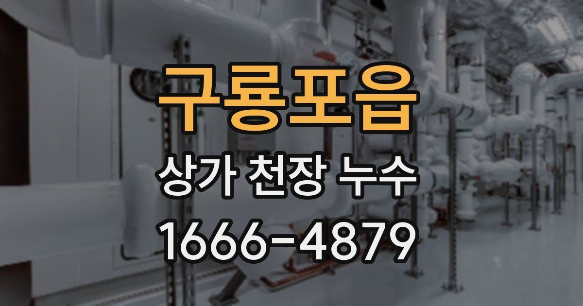 구룡포읍 상가 천장 누수