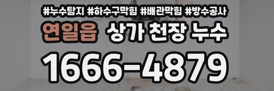 연일읍 상가 천장 누수