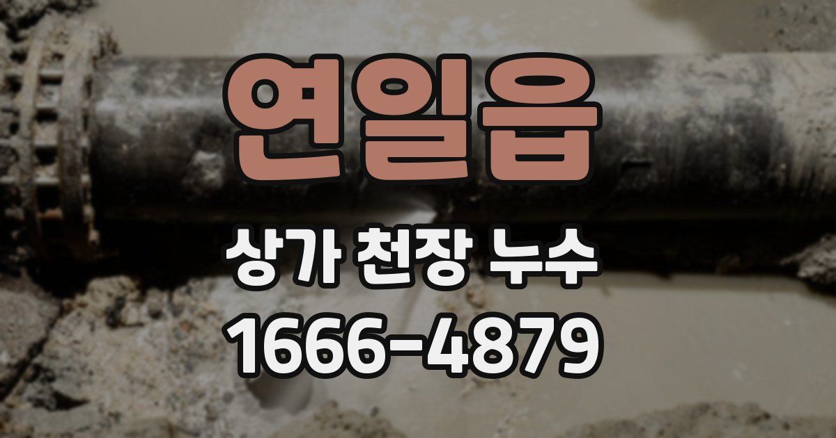 연일읍 상가 천장 누수