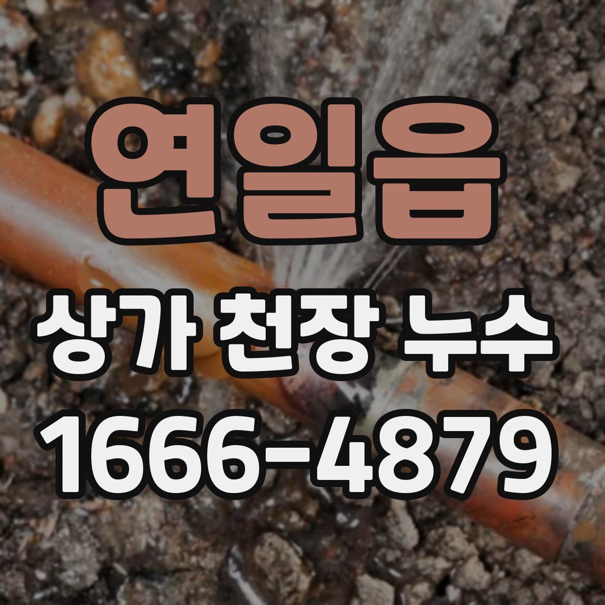 연일읍 상가 천장 누수