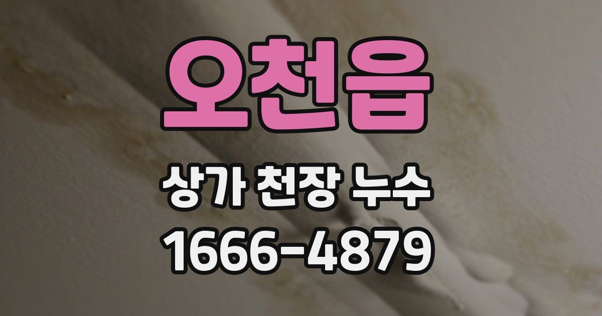 오천읍 상가 천장 누수