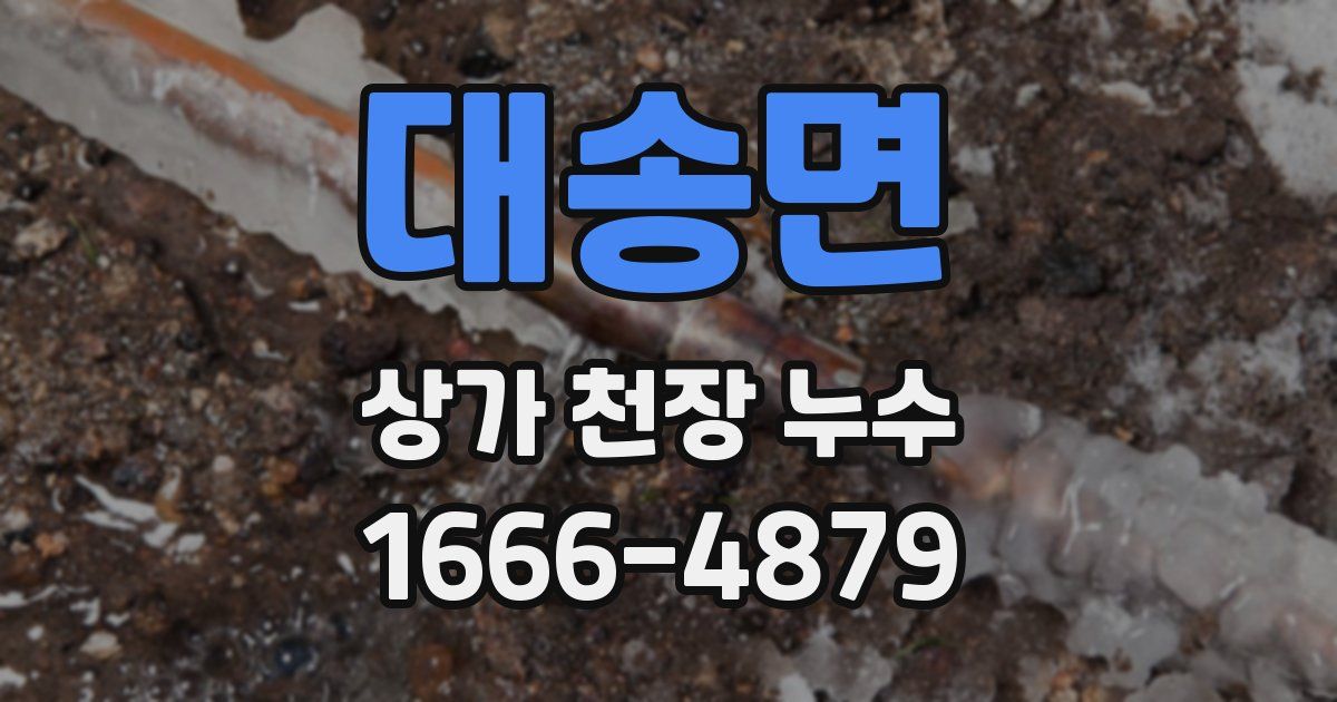 대송면 상가 천장 누수