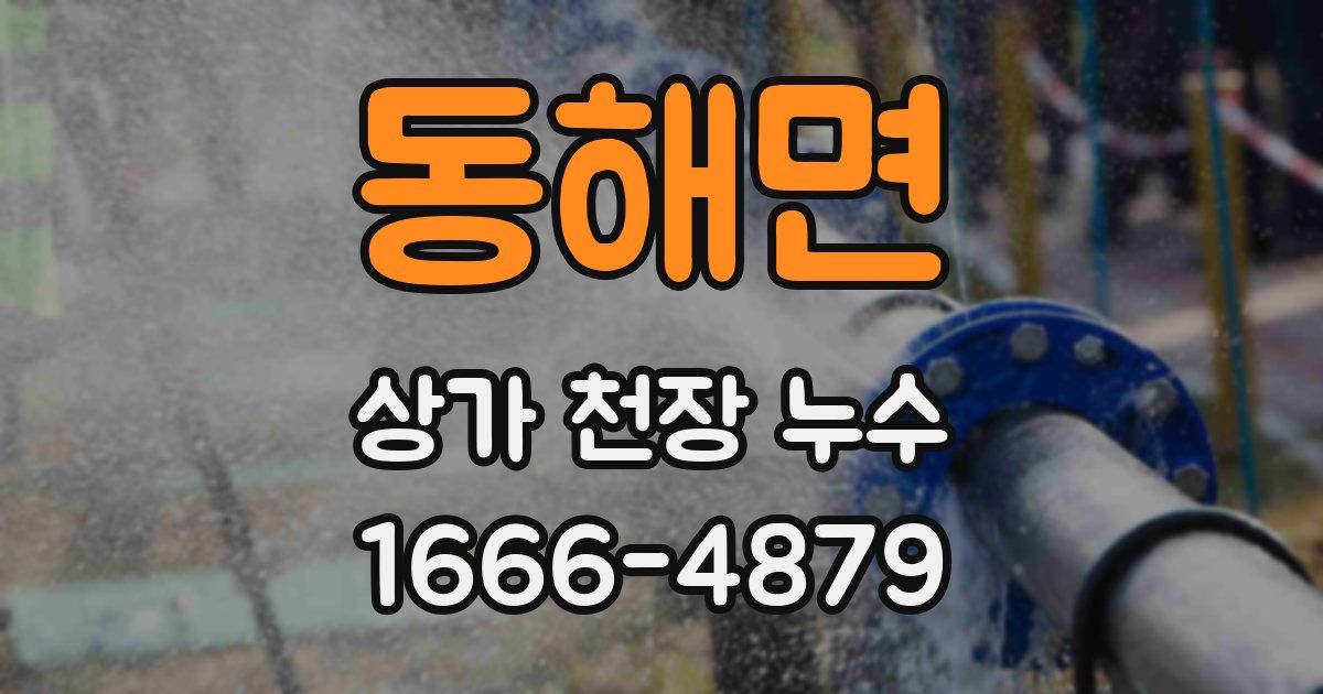 동해면 상가 천장 누수