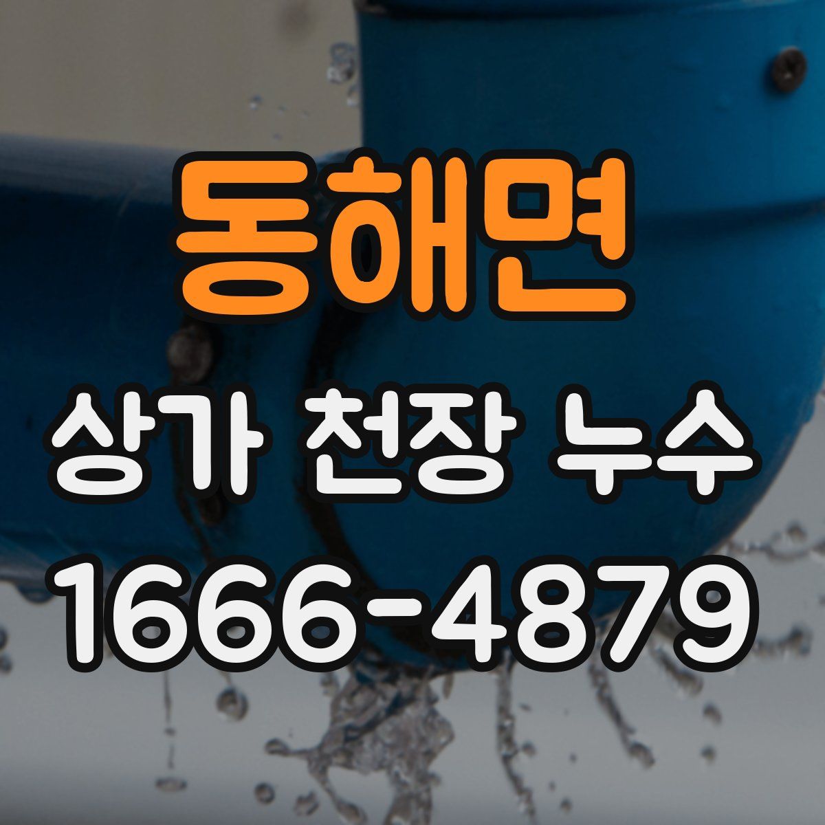동해면 상가 천장 누수