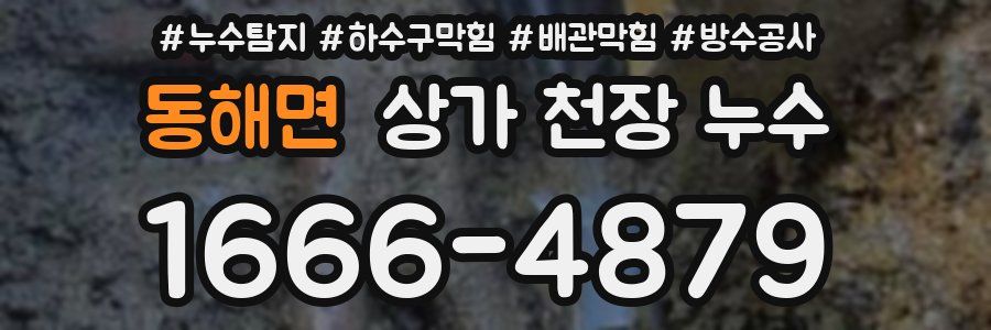 동해면 상가 천장 누수