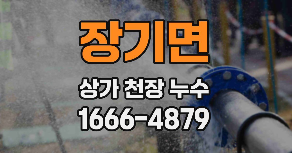 장기면 상가 천장 누수