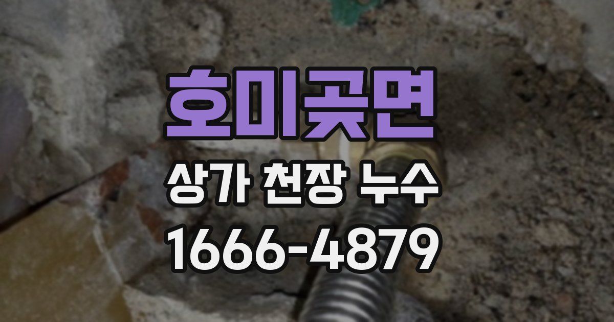 호미곶면 상가 천장 누수