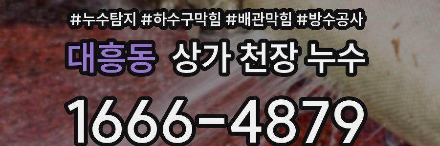 대흥동 상가 천장 누수