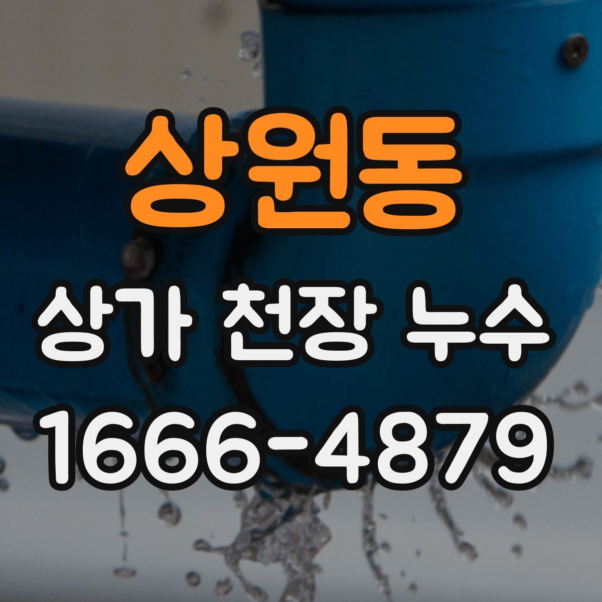 상원동 상가 천장 누수