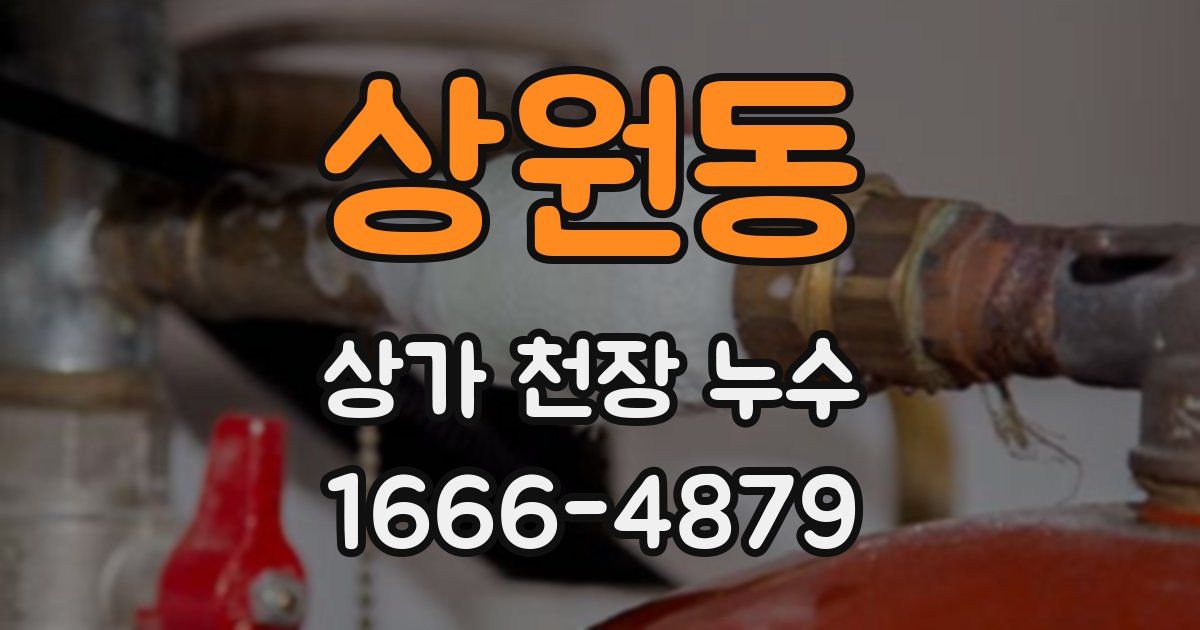 상원동 상가 천장 누수