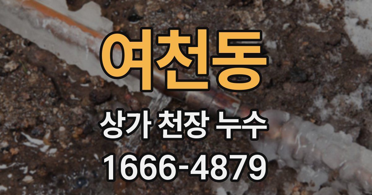 여천동 상가 천장 누수