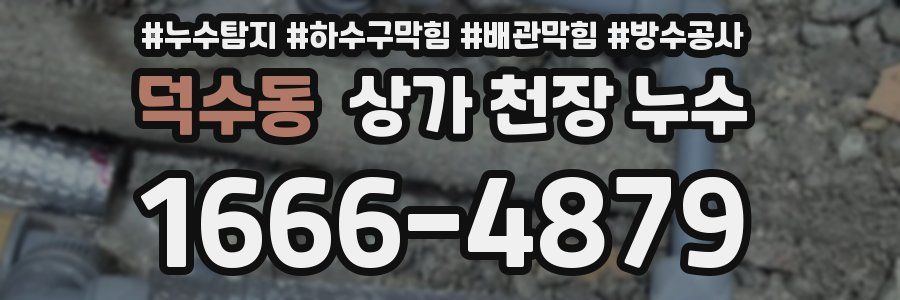 덕수동 상가 천장 누수