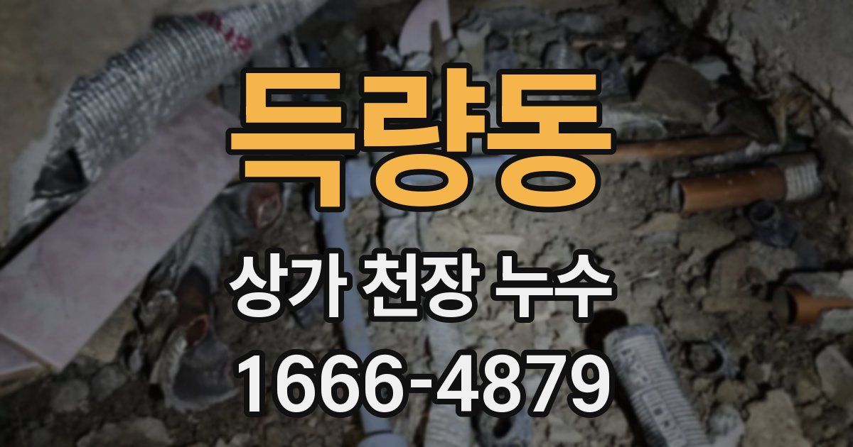 득량동 상가 천장 누수