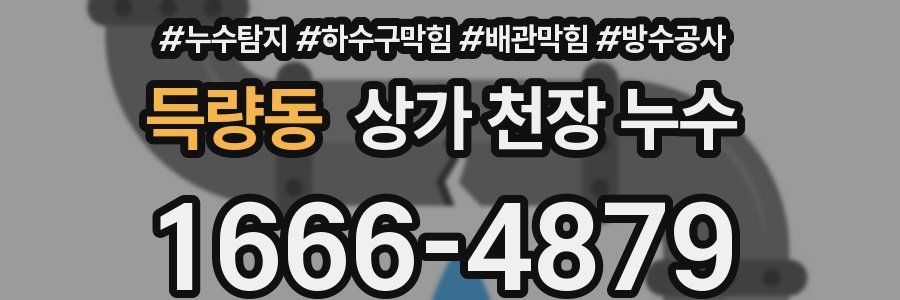 득량동 상가 천장 누수