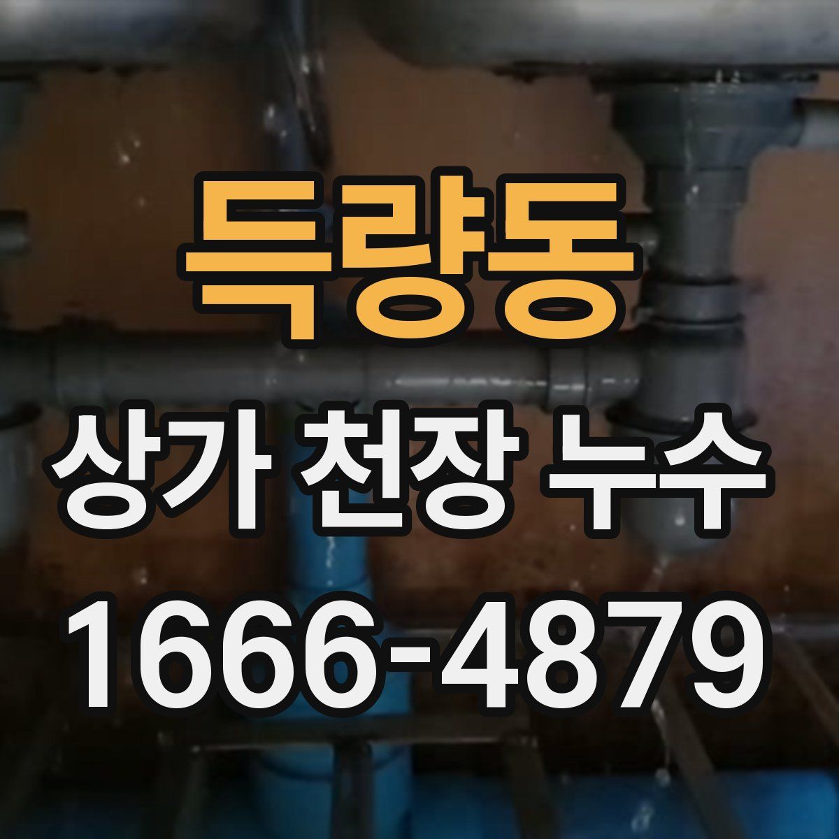 득량동 상가 천장 누수